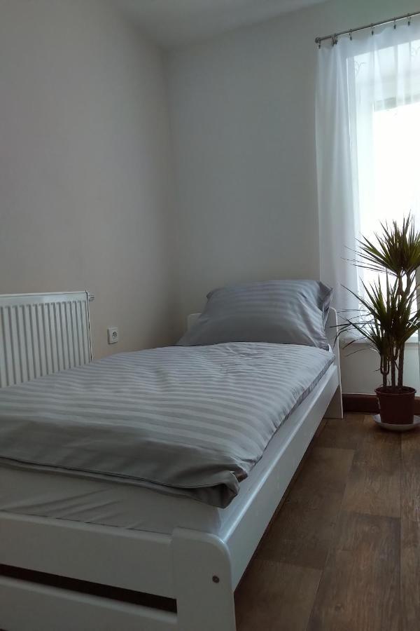 Апартаменты Apartman Pod Rickami Рокитнице-в-Орлицких-горах Экстерьер фото